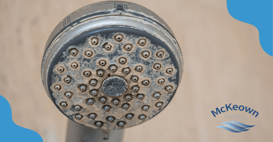 hard water buildup showerhead